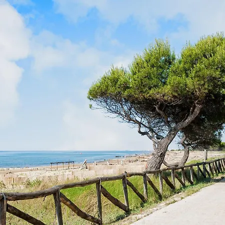 Bright Flat Close To The 아파트