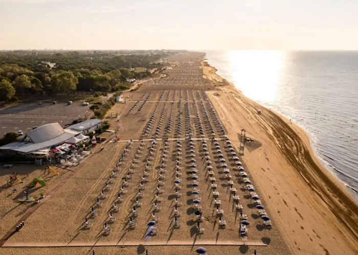 Bright Flat Close To The