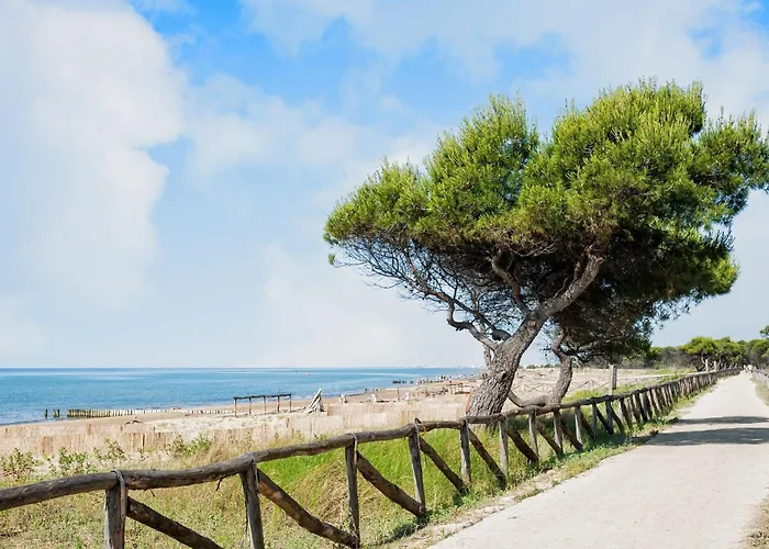 Bright Flat Close To The 아파트